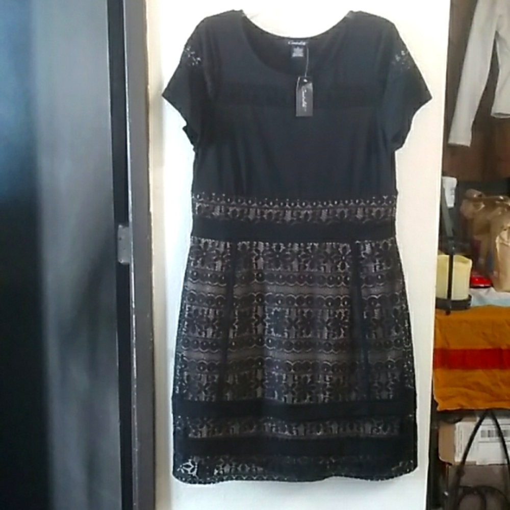 Woman's 👗 Dress By Candalite